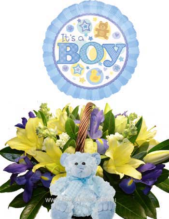 A003 Bourke New Born Baby Boy Packeage with a basket of flowers, baby boy teddy bear, and baby boy balloon