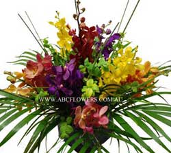 ABC Flowers Deliver A028 QV-Centre Piece Arrangement of Orchids Melbourne Wide Free Delivery Melbourne Inner Suburbs