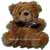 ABC Flowers Deliver Teddy Bear Melbourne Wide 7 days a week