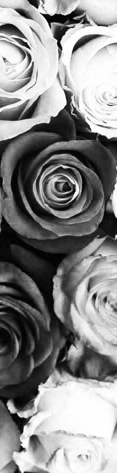 ABC Flowers Banner