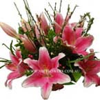 ABC Flowers st. vincent's hospital fitzroy melbourne deliver season's bests flowers melbourne wide