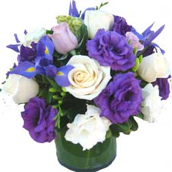 ABC Flowers st.vincent's hospital fitzroy melbourne delivery v006 virgin roses lisis freesia in a vase melbourne wid delivery 7 days a week free delivery melbourne inner suburbs