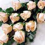 ABC Flowers st. vincent's hospital fitzroy melbourne deliver happy birthday flowers melbourne wide