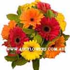 ABC Flowers st. vincent's hospital fitzroy melbourne deliver thank you thanks giving flowers melbourne wide